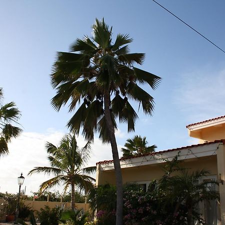 Hidden Garden Aruba Hotel Babijn Exterior photo