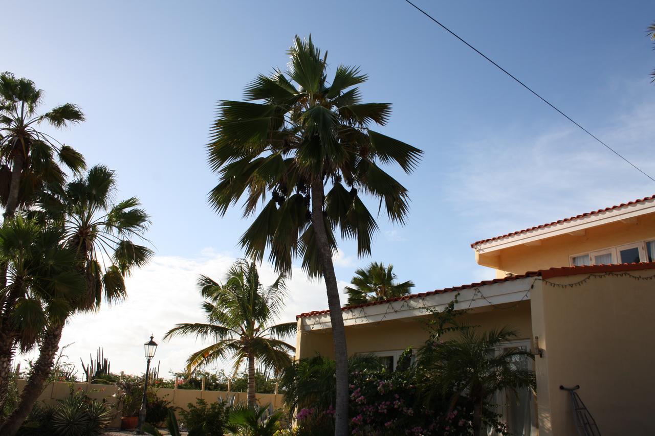 Hidden Garden Aruba Hotel Babijn Exterior photo