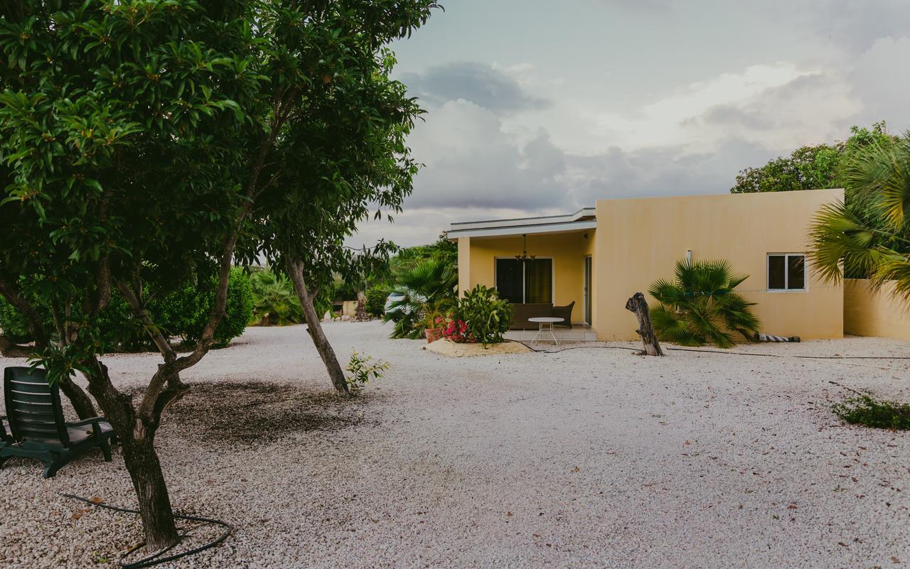 Hidden Garden Aruba Hotel Babijn Room photo