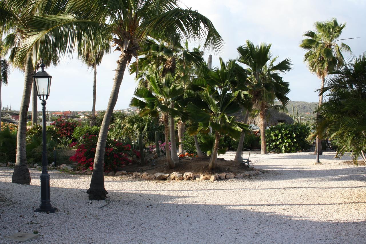 Hidden Garden Aruba Hotel Babijn Room photo