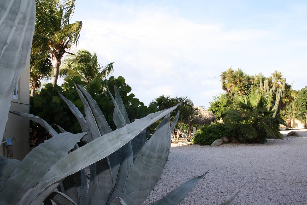 Hidden Garden Aruba Hotel Babijn Room photo